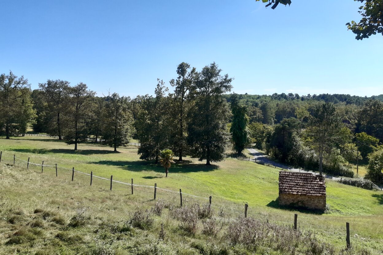 Exploitation agricole à vendre de 2 ha
