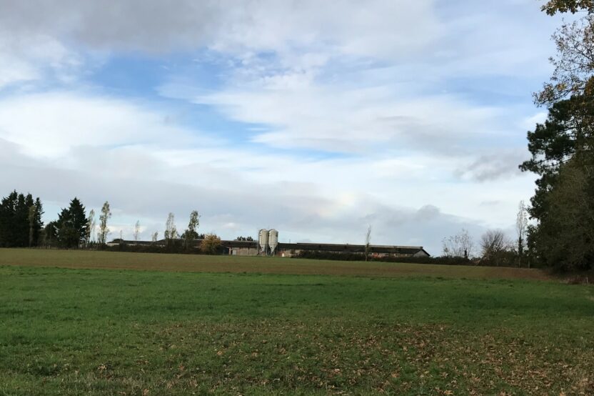Exploitation agricole à vendre de 6 ha