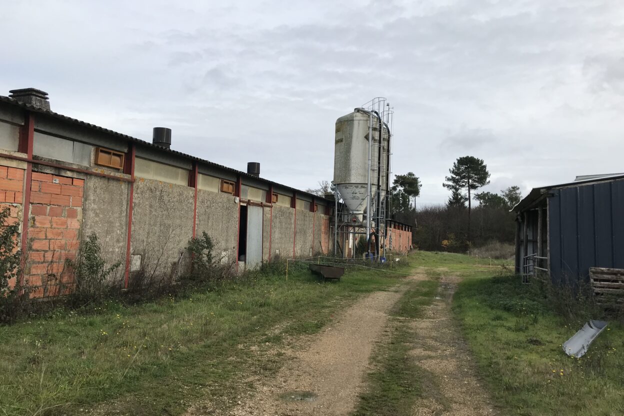 Exploitation agricole à vendre de 6 ha